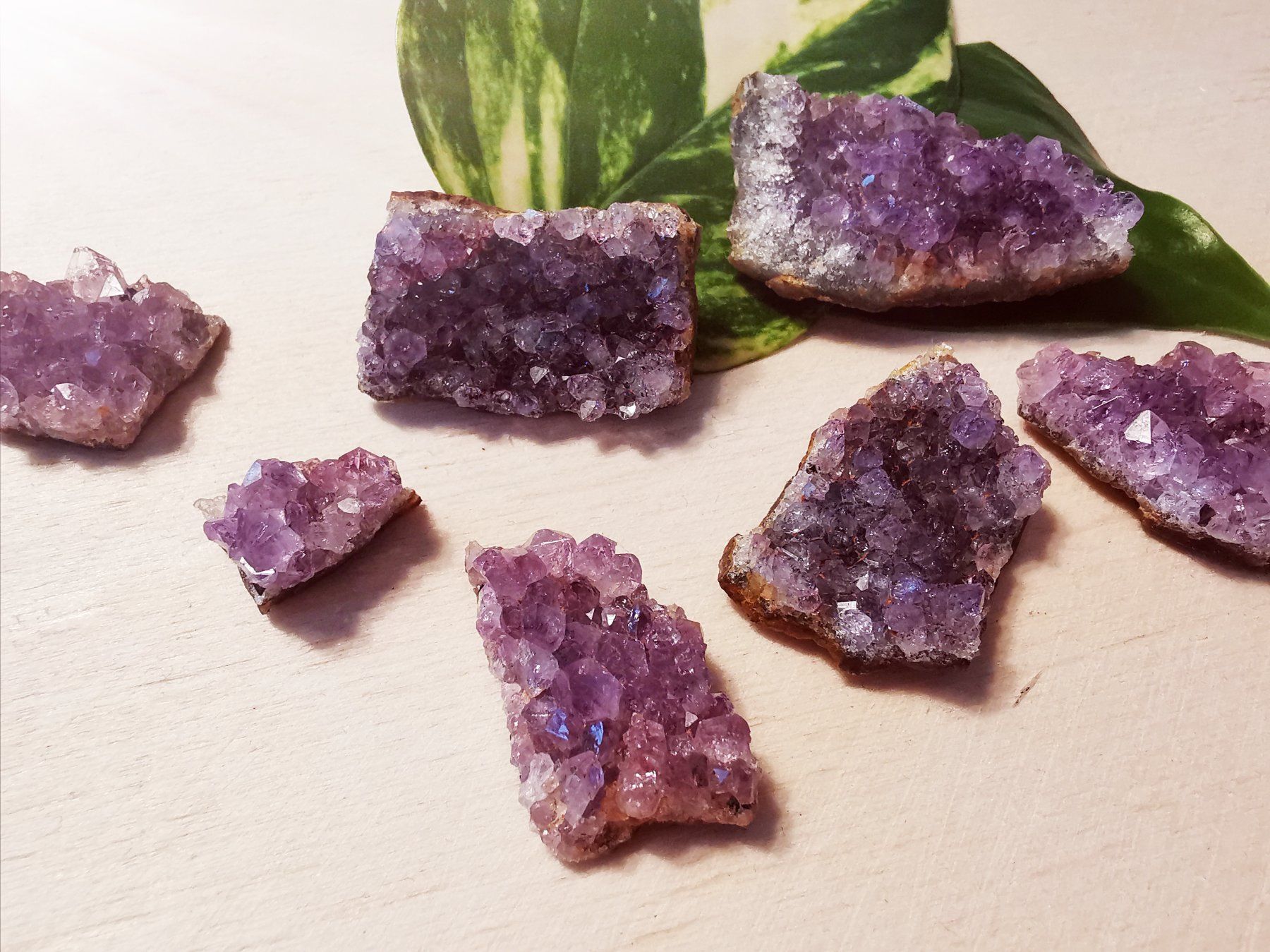 Minerali & Pietre curative: 7 kleine Amethyst Drusen Stücke – Nuovo e nell'imballaggio originale da Dierikon venduto da Buntspecht-10 3