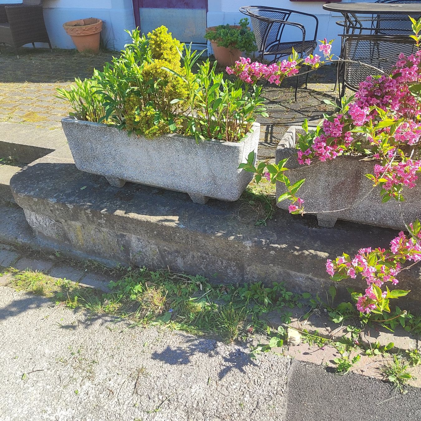 Blumentöpfe: 🌹🌹🌹 2 Beton Blumen trog🌹🌹🌹 – Gebraucht aus Langnau am Albis von Judithsebi 3