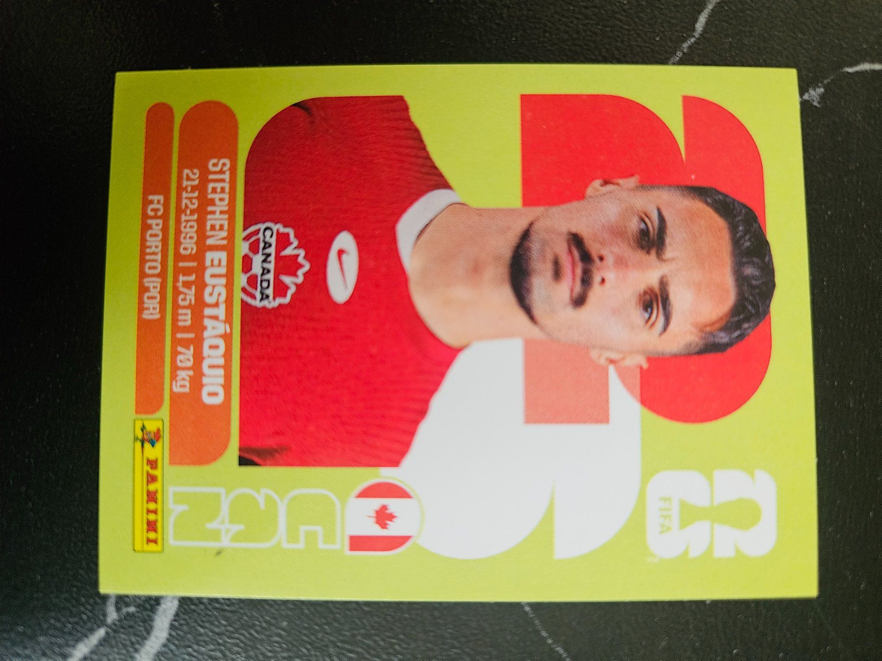 Panini Carte collezionabili: CAN10 – Usato da Würenlingen venduto da Dinli