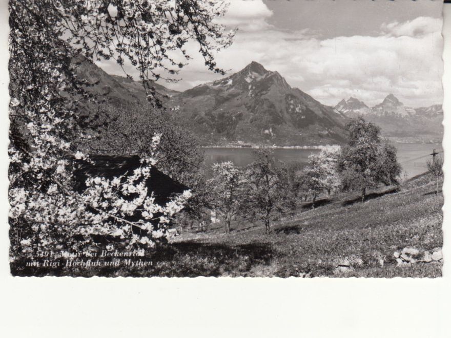 Cartoline postali: Beckenried 1961 – Usato da Bürglen TG venduto da StampGraf