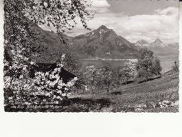 Beckenried 1961