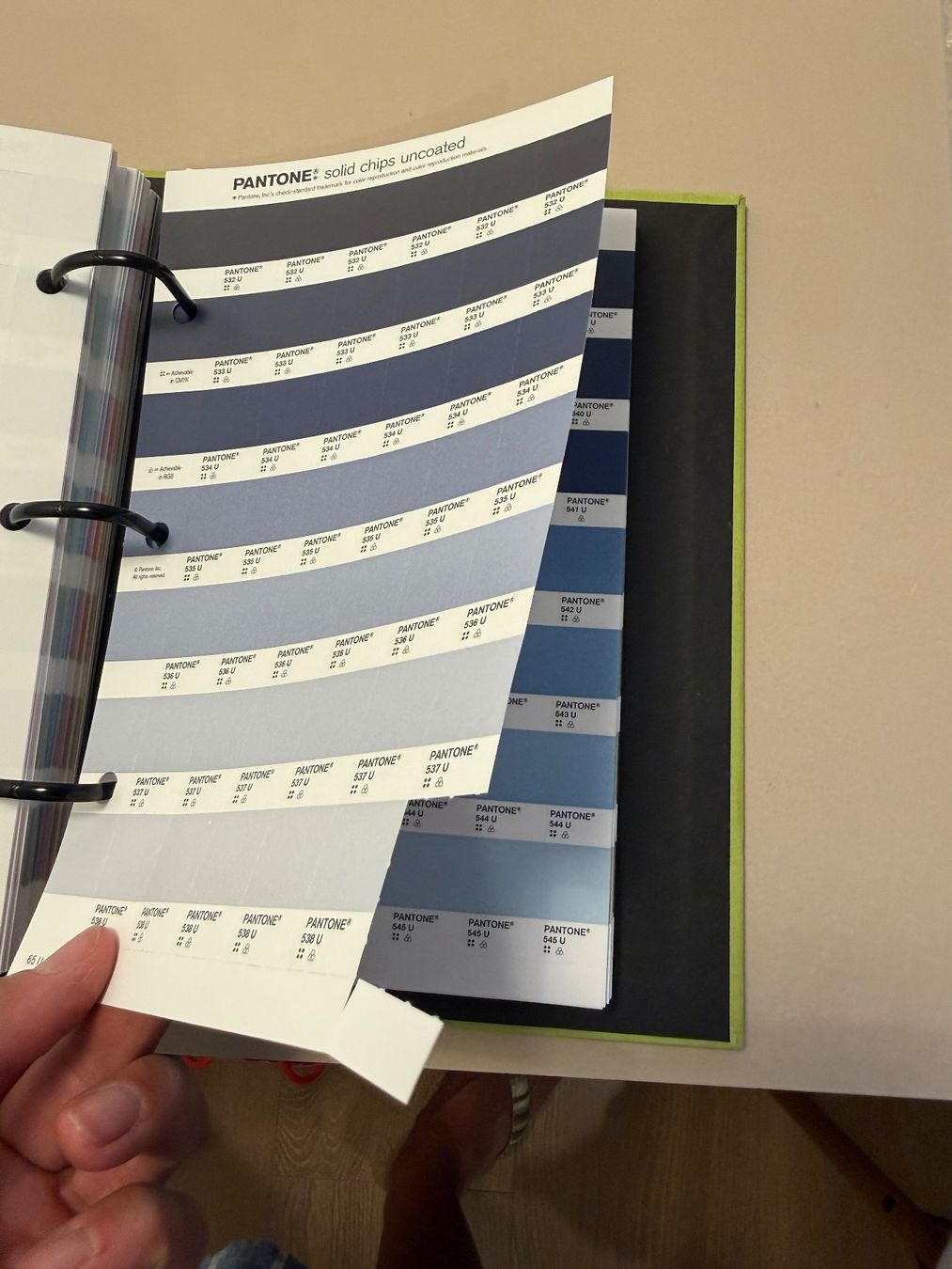 Libri: Original Pantone SOLID CHIPS Farbkarten set coated /uncoated – Usato da Zürich venduto da Ivo75 3