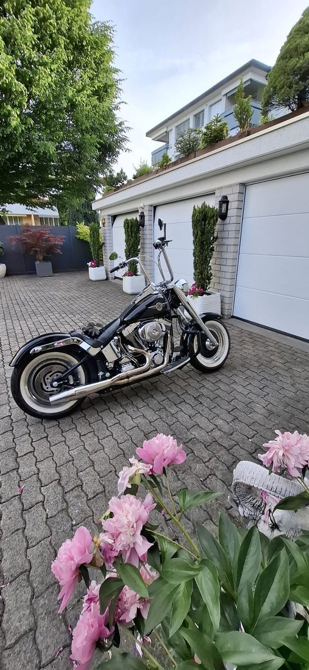 Harley-Davidson Chopper: Harley Davidson – Usato da Reichenburg venduto da leona100 1