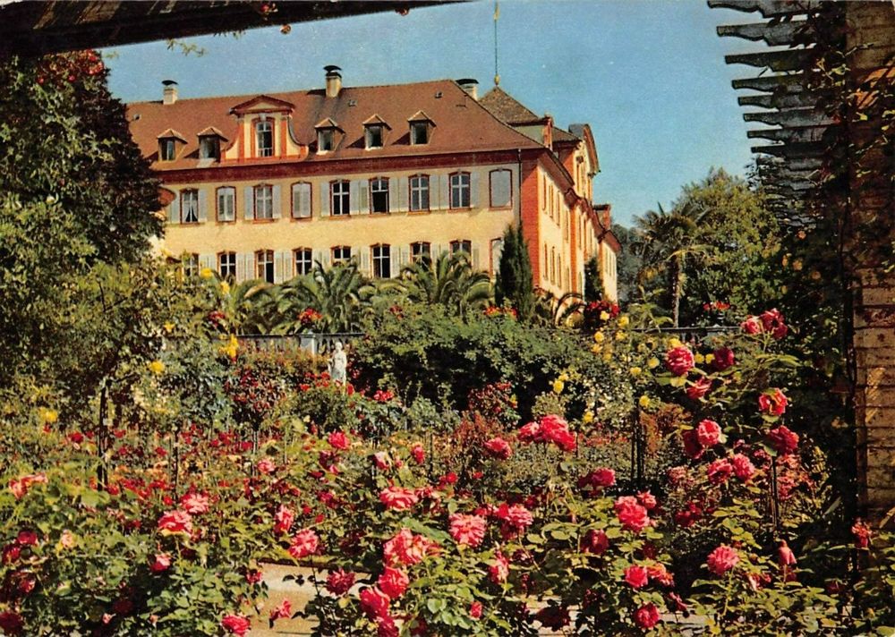 Gruss Von Der INSEL MAINAU - Bodensee, Rosengarten Mit Schlo | Kaufen ...