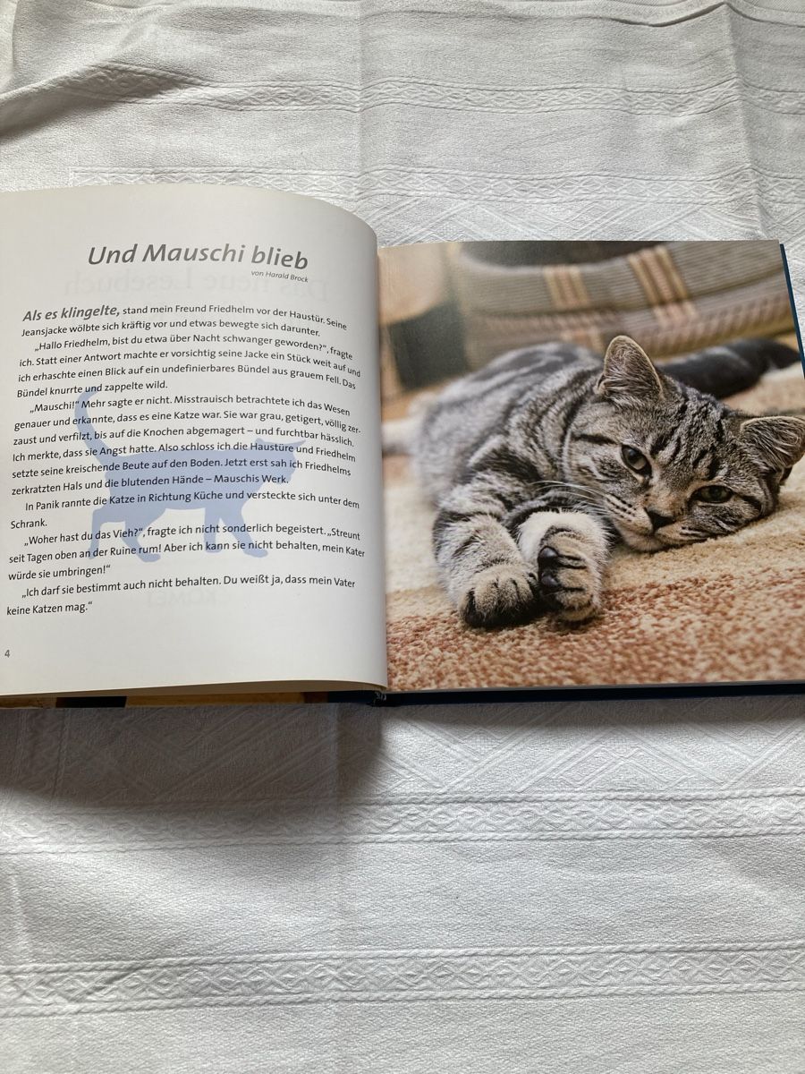 Libri: Bilderbuch über Katzen, ganz neu – Nuovo e nell'imballaggio originale da Ardon venduto da hel_2sxp 2