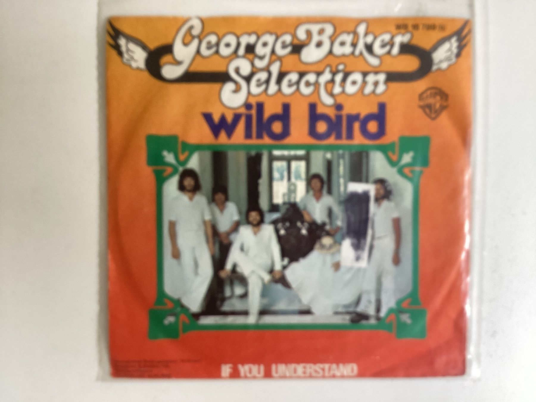 Dischi in vinile: George Baker Single - Wild Bird / If You Understand – Usato da Gutenswil venduto da Hamzian