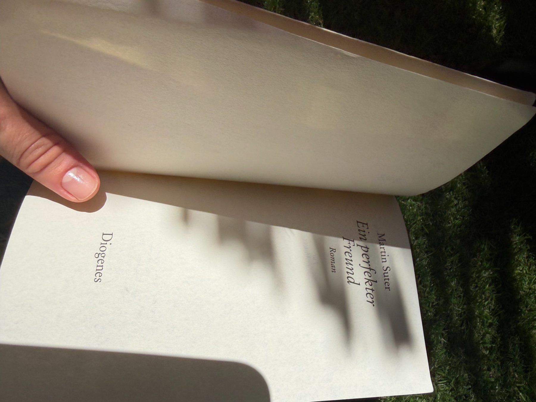 Libri: Buch Martin Suter Ein perfekter Freund Roman – Usato da Riehen venduto da edu_92w7 1