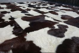 Kuhfellteppich/Decke, Patchwork, einzigartig, 240x240cm