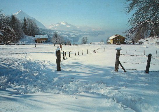 Cartoline postali: LEISSIGEN Meielisalp Skilift – Usato da Jona venduto da philajona