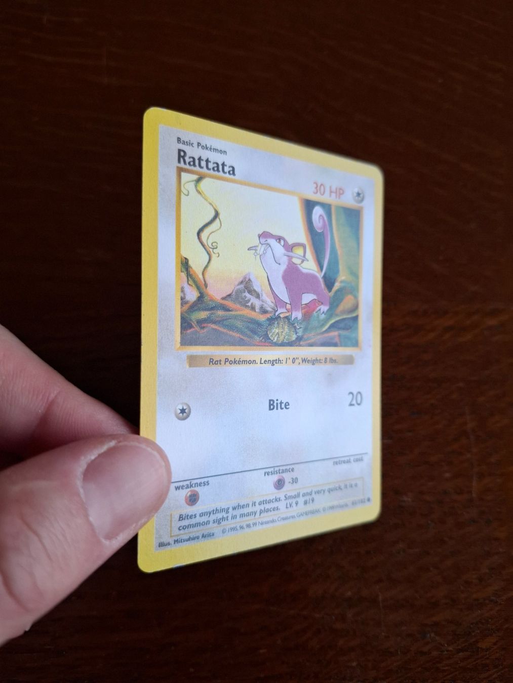 Pokémon Sammelbilder & Trading cards: Pokemon Rattata Base Set Shadowless 61/102 – Gebraucht aus Giornico von ale_lc8k 2