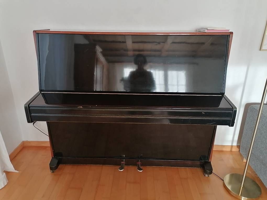 Strumenti musicali: Gratis Klavier / Piano – Usato da Altnau venduto da chstac 3