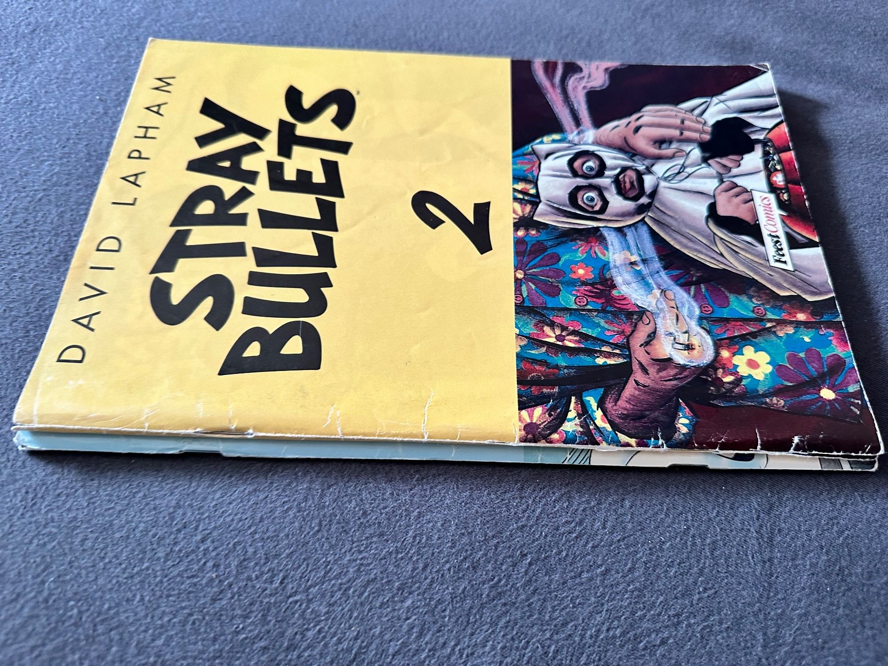 Fumetti: STRAY BULLETS HEFT 2 und 4, DAVID LAPHAM, FEEST COMICS – Usato da Münsingen venduto da Ganjam 2
