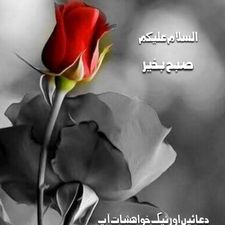 Profile image of mohsin231