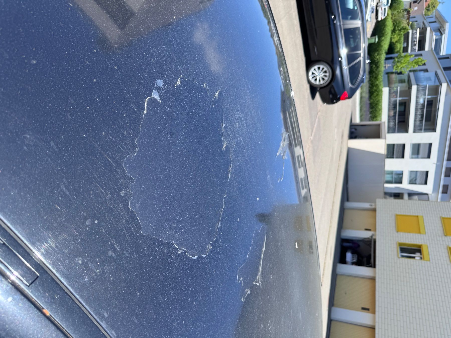 BMW Automobili: Für Export !!!  -BMW 325d Touring – Usato da Märstetten venduto da YNWA-pool 6
