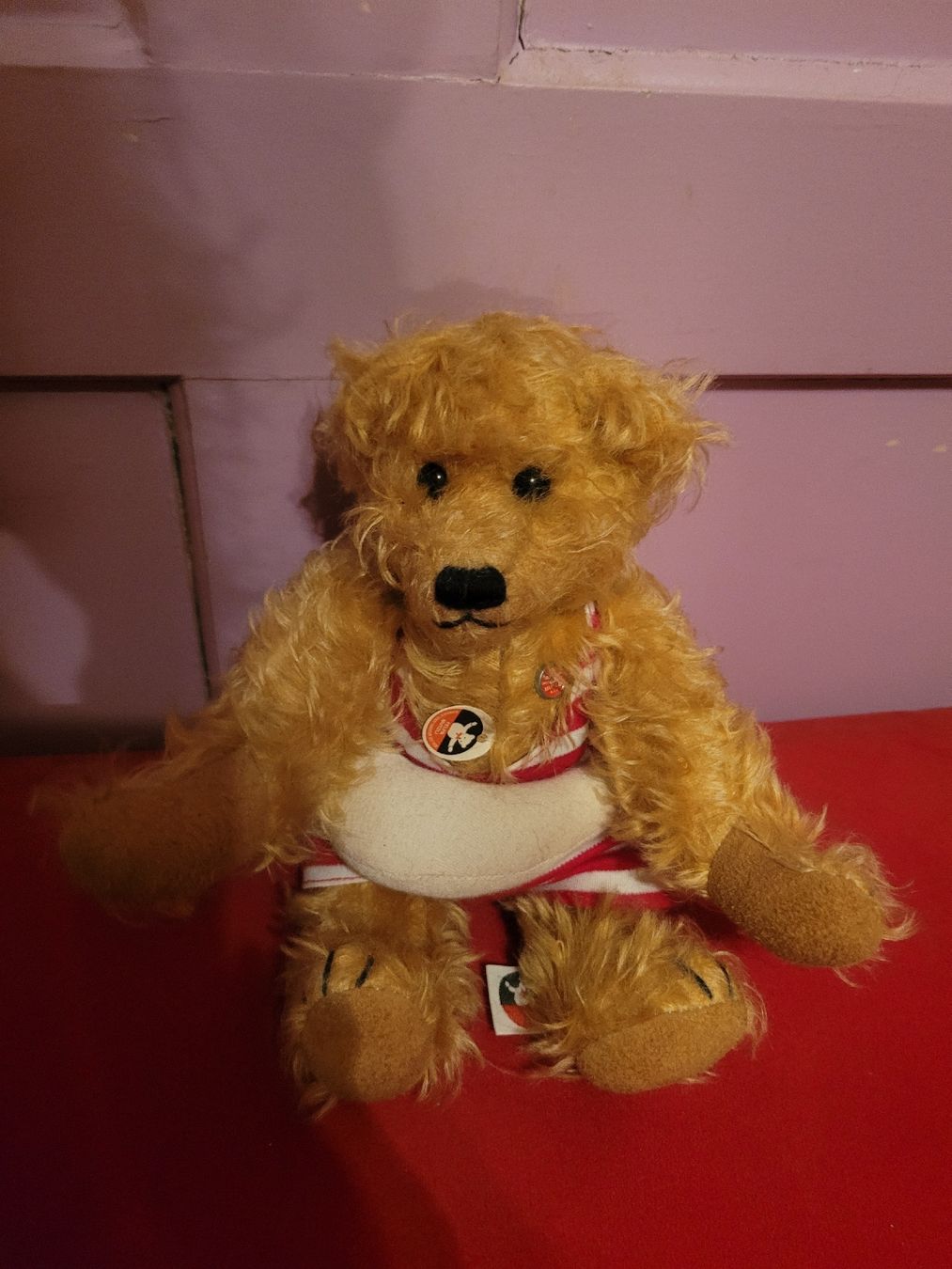 Giocattoli: Teddybär – Usato da GLARUS venduto da Glarus4 3