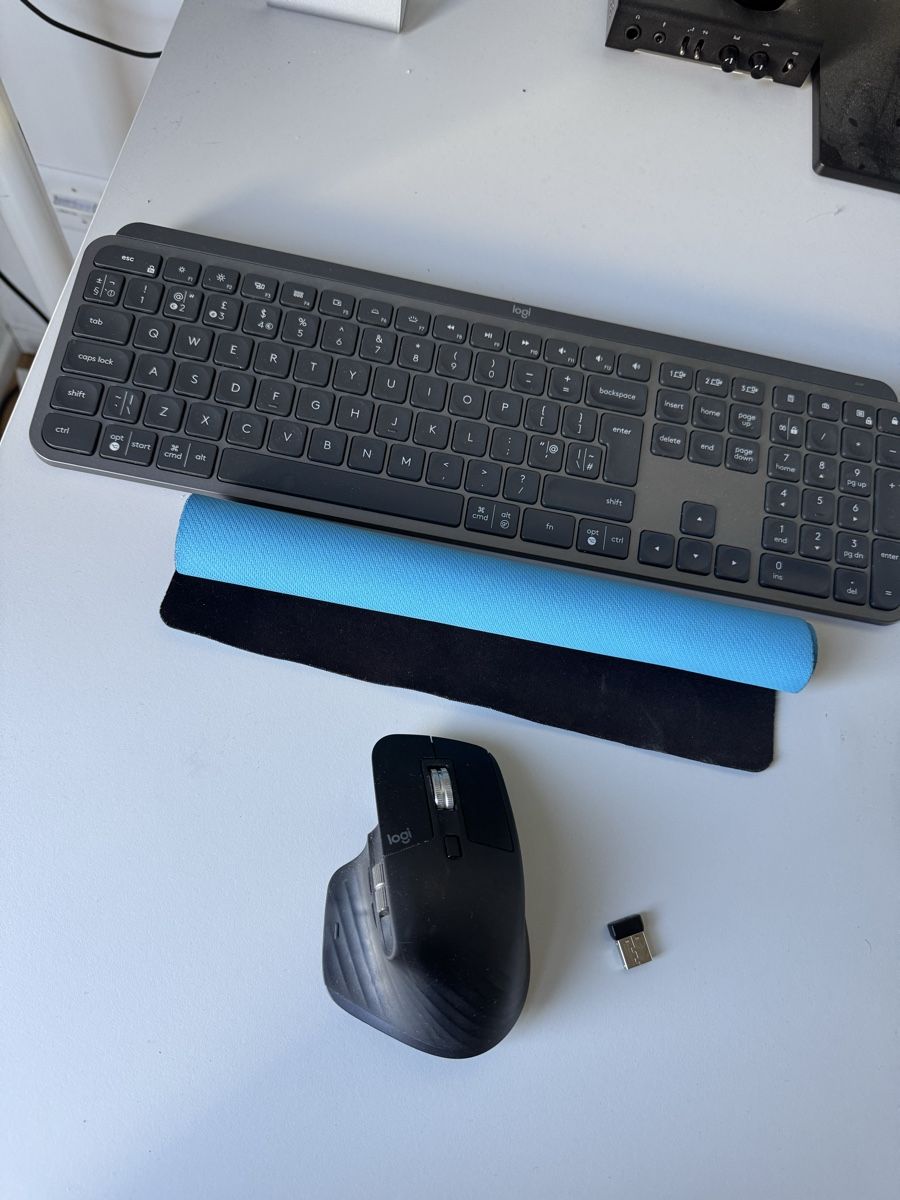 Logitech Tastiere: Logitech MX Keys + MX Master 3 + Mousepad – Usato da Zürich venduto da tim_t6kb 1