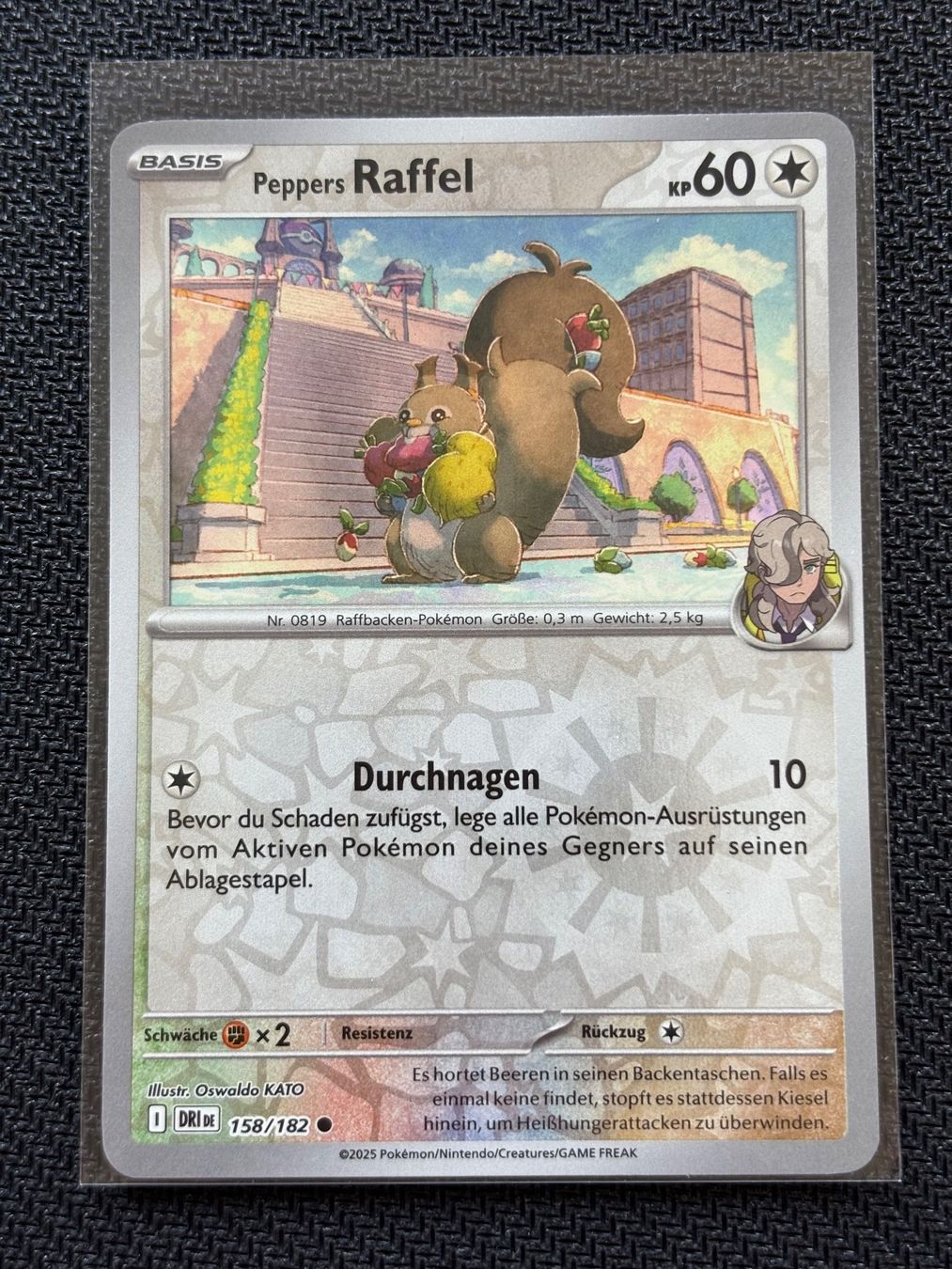 Pokémon Sammelbilder & Trading cards: Peppers Raffel (DRI 158) Reverse Holo - Ewige Rivalen - DE – Neu (gemäss Beschreibung) aus Hergiswil NW von Feybyen