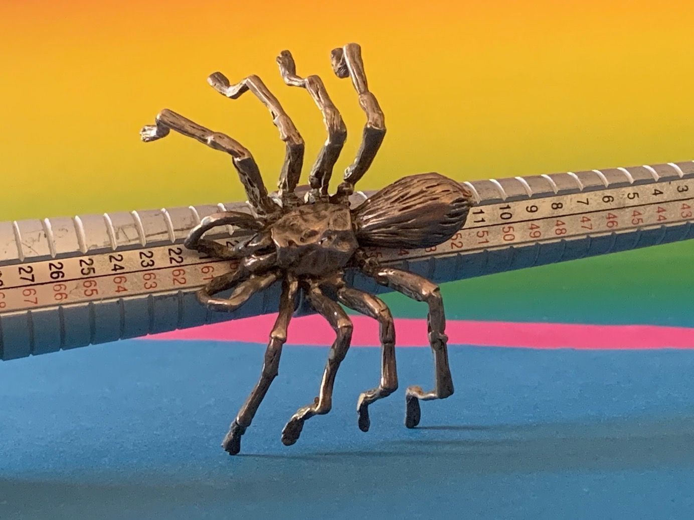 Anelli: SILBERRING Grosse SPINNE (57) – Usato da Dittingen venduto da Bijoubelle