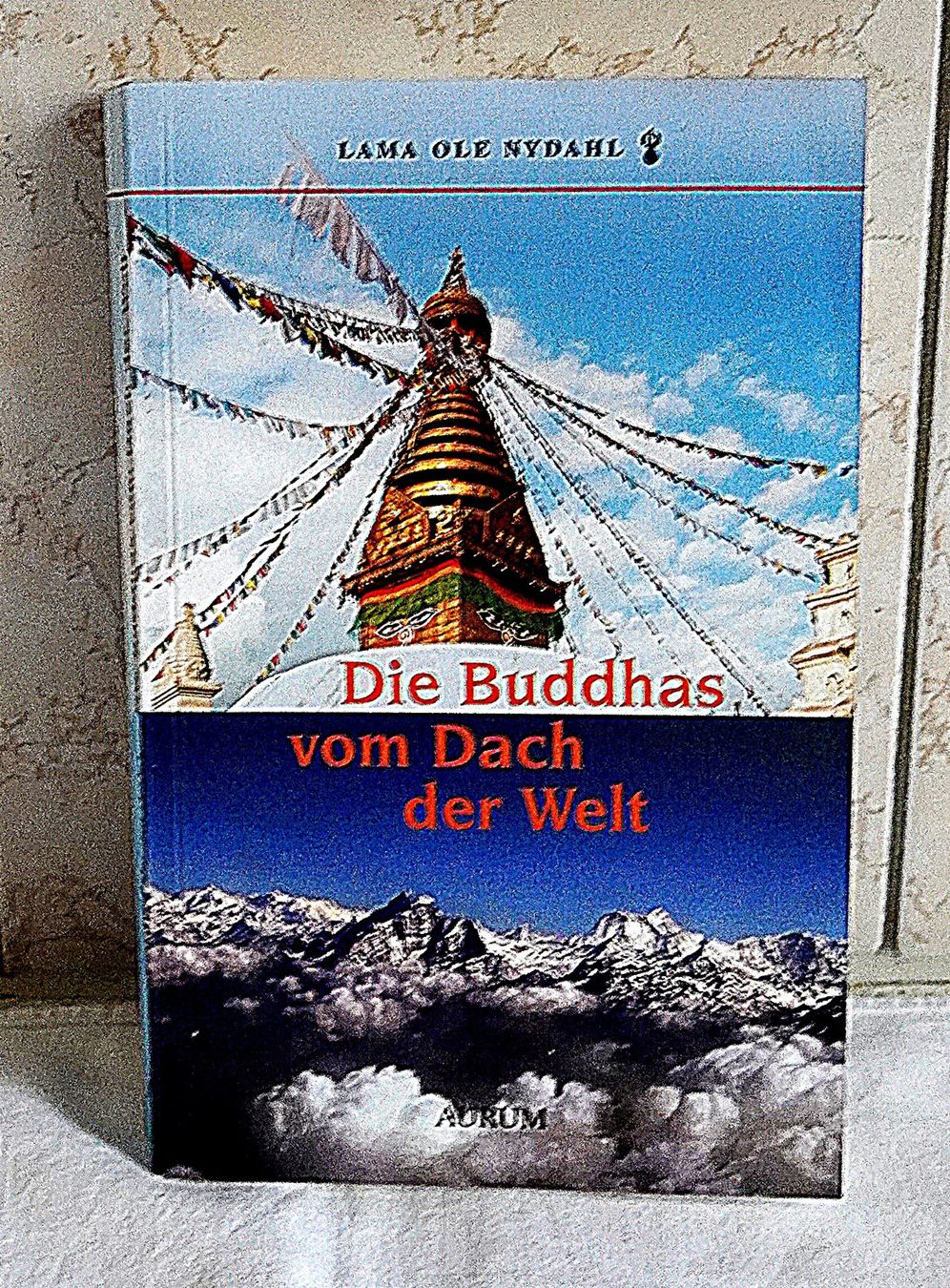 Tutti i DVDs: Die Buddhas vom Dach der Welt – Usato da Baar venduto da 2cvbaar