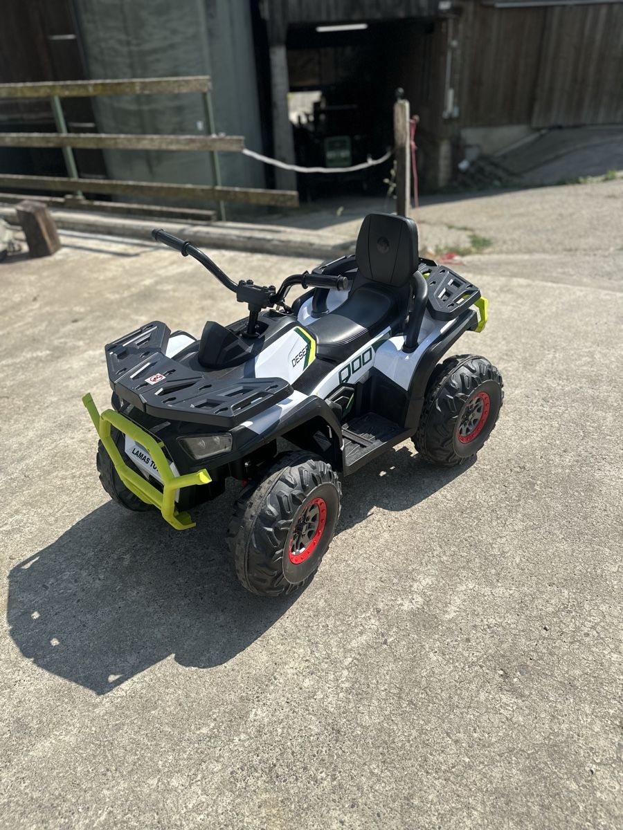 Mini Quads: Kinderquad Desert 900 – Gebraucht aus Walterswil BE von mimibabap 2