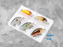 Angelköder 5x Wobbler 3,6 cm, 3,6 g mit Box