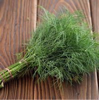 DILL Monarch, sehr wüchsig / 20 Samen