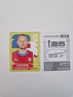 Panini Sticker CZE6