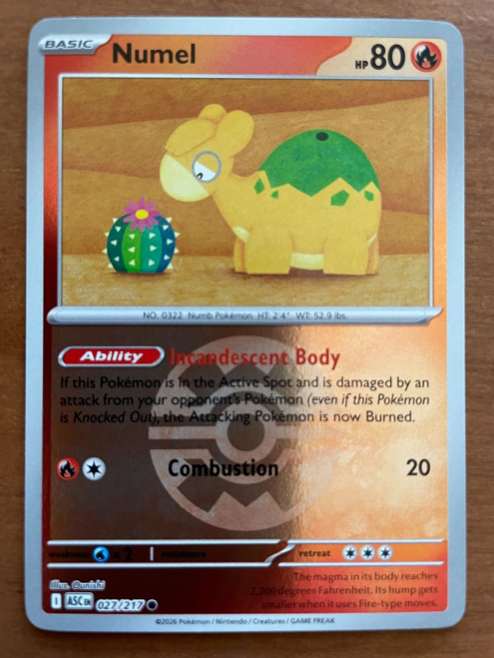 Pokémon Carte collezionabili: Pokemon Numel Reverse (Versand gratis) – Nuovo (secondo la descrizione) da Chur venduto da Angerson