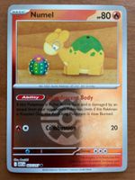 Pokemon Numel Reverse (Versand gratis)