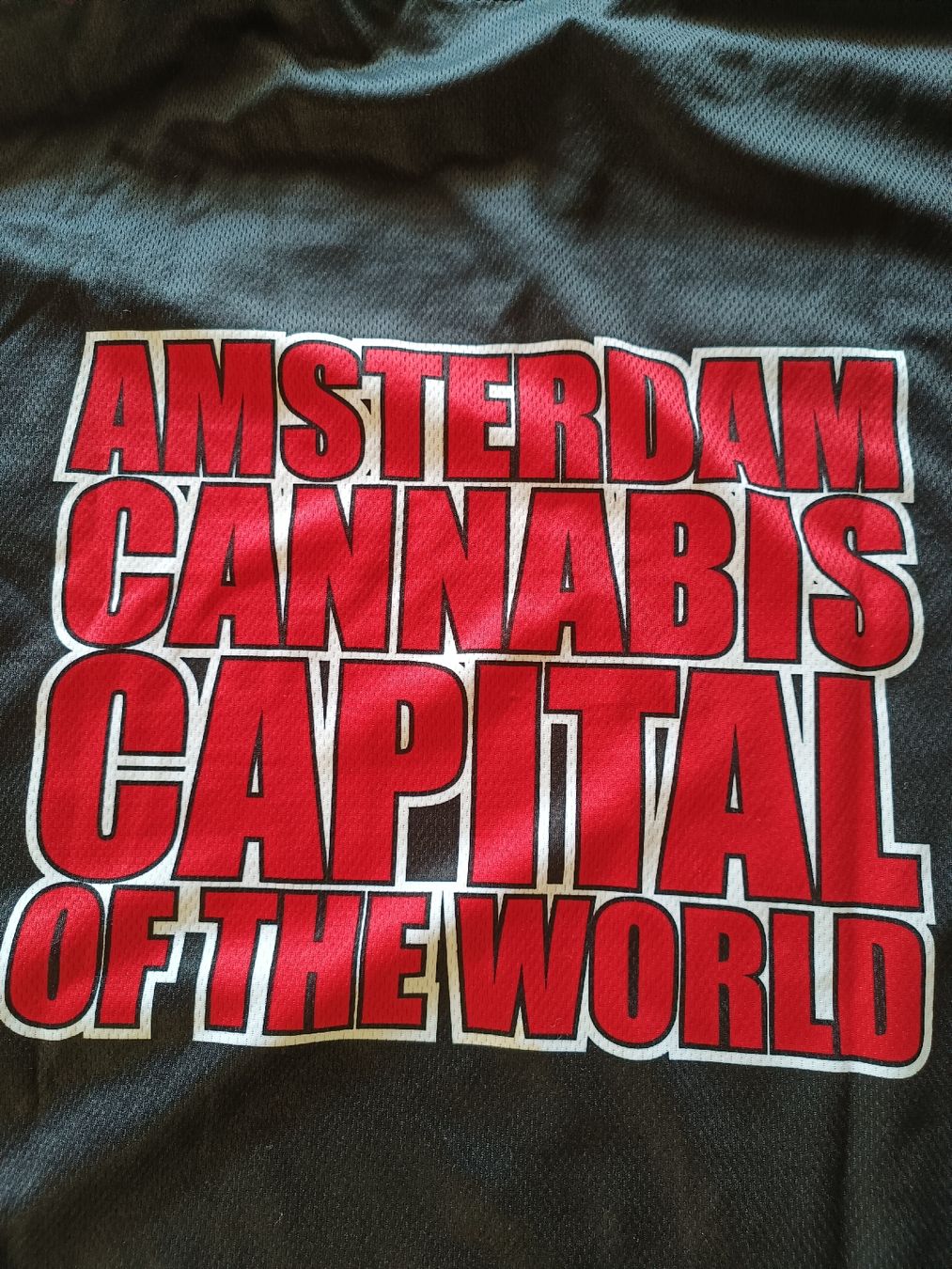 T-shirt: Amsterdam Shirt XL – Usato da Bätterkinden venduto da Elefantenzoo 2