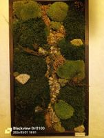 Moosbild - Natürliche Wanddeko, handgemacht - CHF 195.-