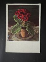 Ansichtskarte Pro Infirmis Gloxinia 1939  (V773)