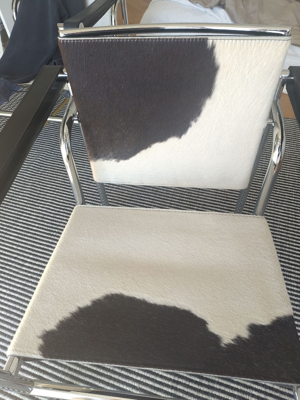 Sessel: Stuhl Le Corbusier LC1, Replic – Gebraucht aus Stettlen von uho_qxv5 3