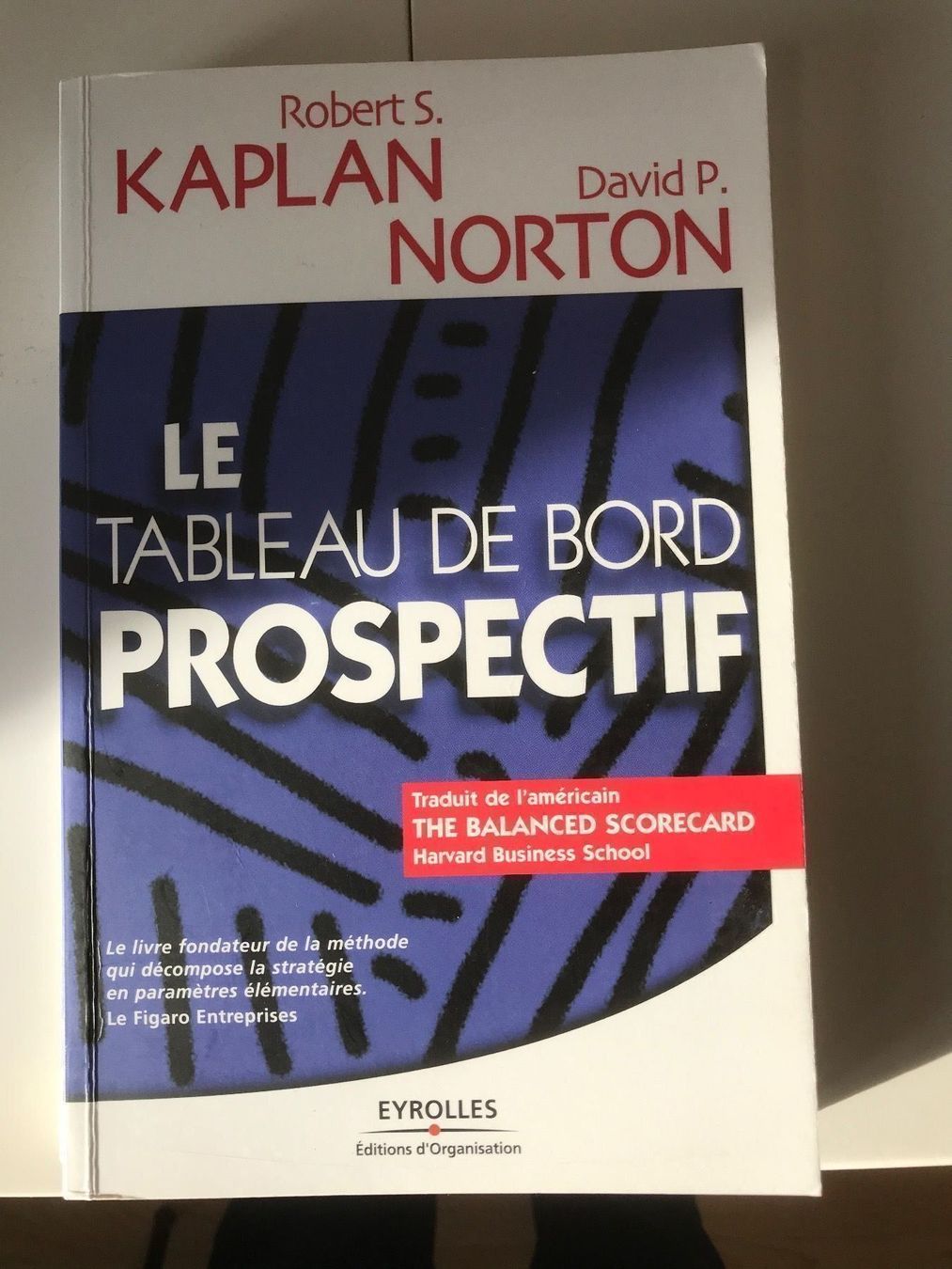 Libri: Livre Le tableau de bord prospectif – Usato da Biel/Bienne venduto da granitod
