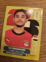 Panini Sticker 2026 EGY 20