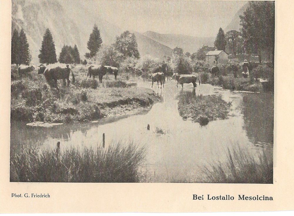 Mesocco / Lostallo, 1921 - Keine AK | Kaufen Auf Ricardo