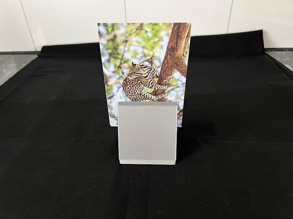 Altro in Decorazioni & Accessori: Agraphe als Notizständer silber – Nuovo (secondo la descrizione) da Dübendorf venduto da Flyhigh 2