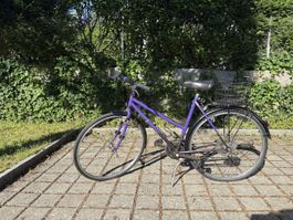 Vintage Damen-Citybike