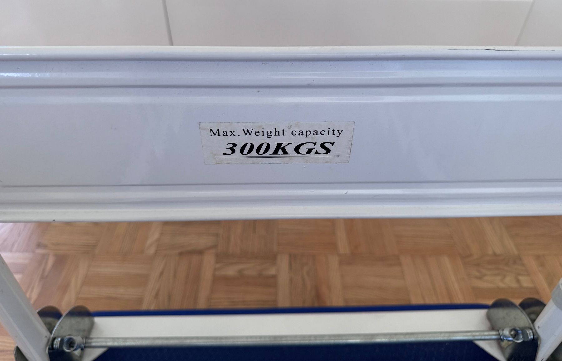 Transportwagen: Platformwagen fur 300 Kg – Gebraucht aus Zürich von Tapehead 4