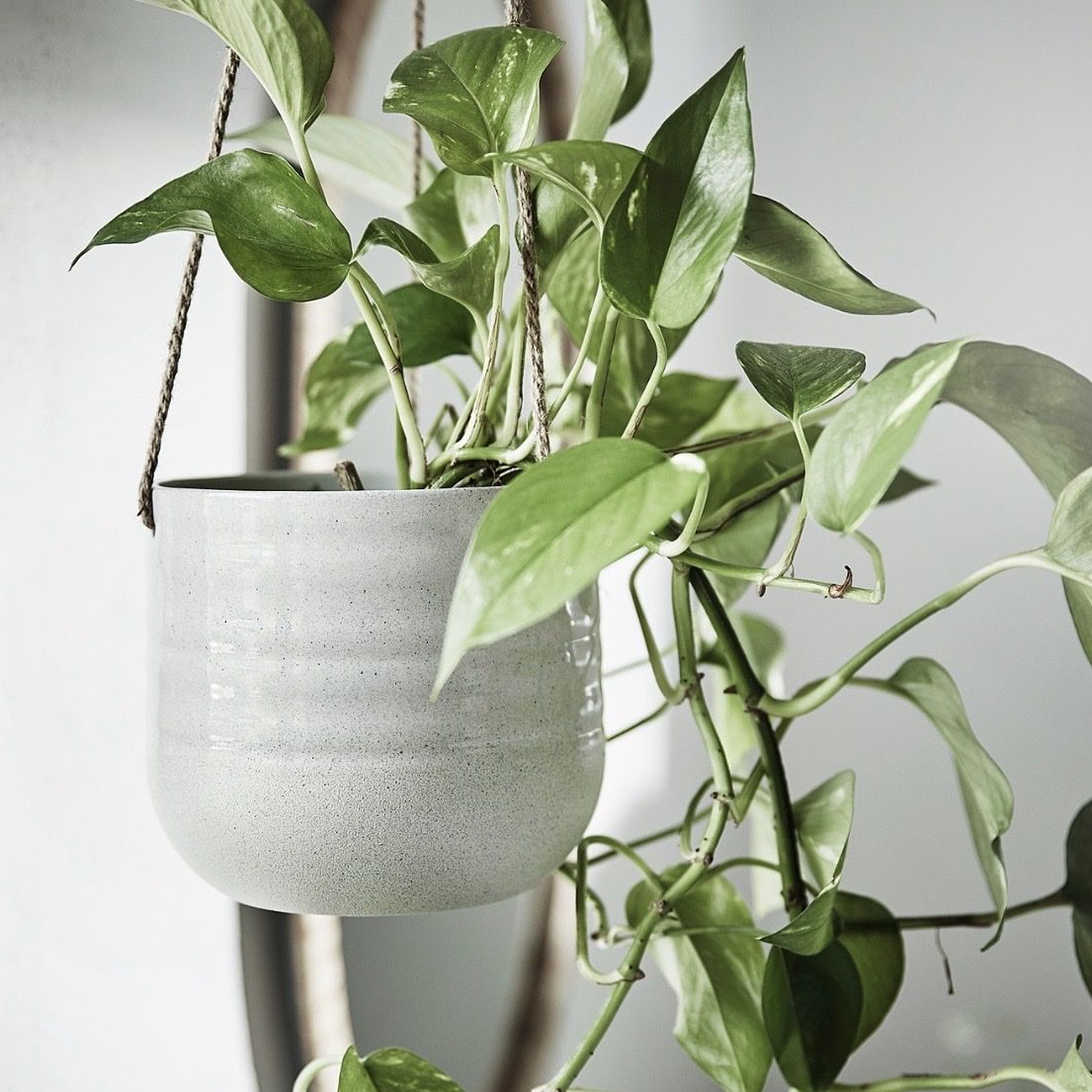 Ikea Blumentöpfe: Blumenampel IKEA – Gebraucht aus Suhr von eeela01 5