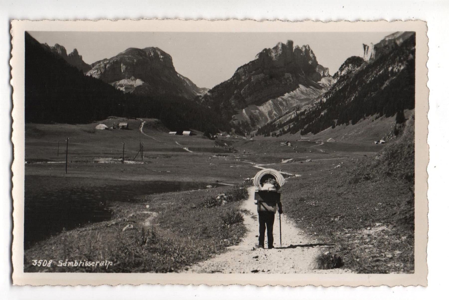 Cartoline postali: ALPSTEIN Sämbtiseralp Mann mit Rückentrage – Nuovo (secondo la descrizione) da Jona venduto da philajona
