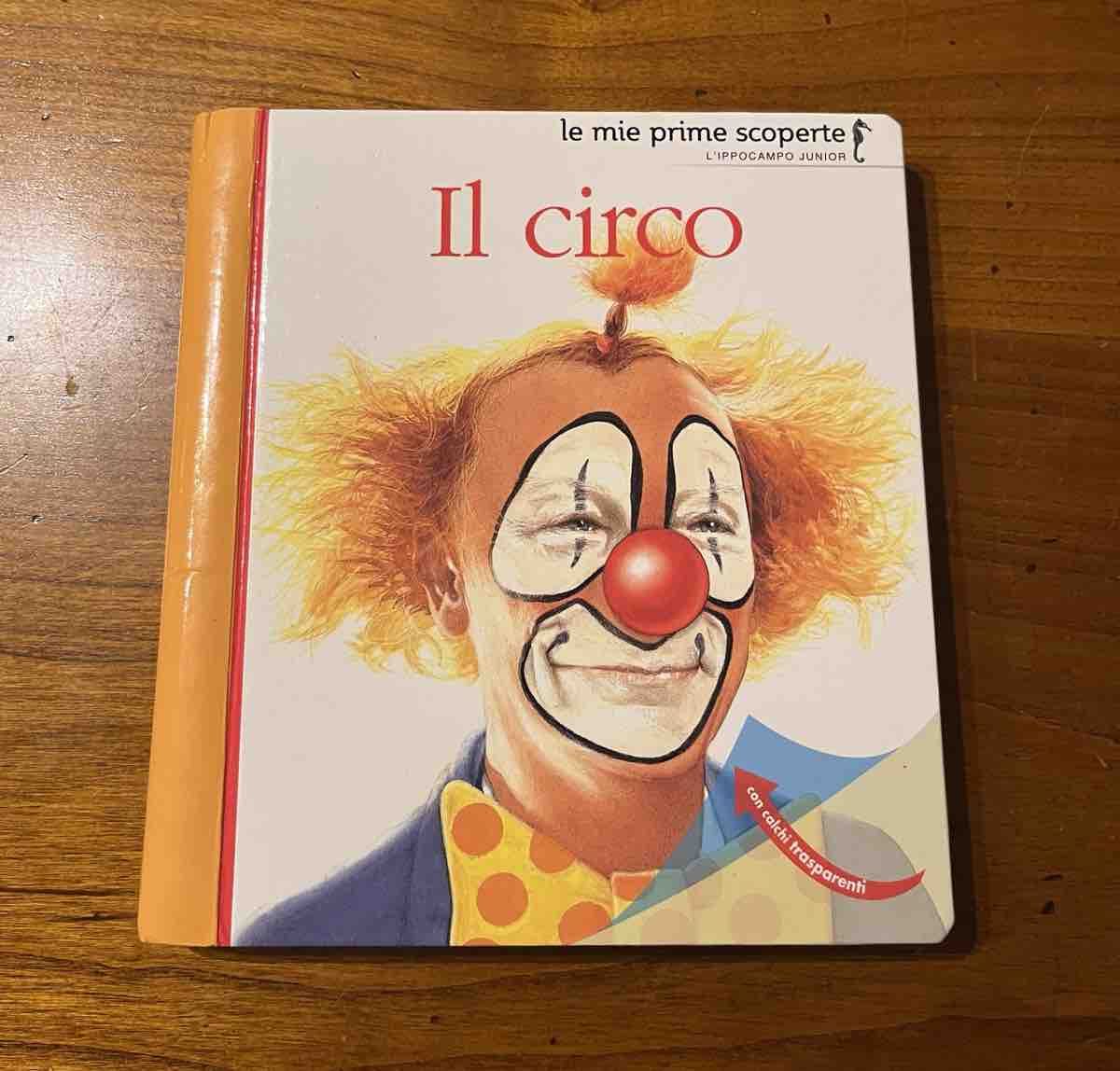 Libri: Schönes Bilderbuch IL CIRCO – Usato da Zollikerberg venduto da elbamania