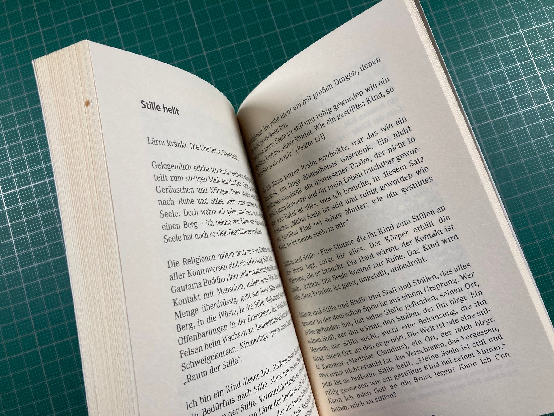 Libri: Gerhard Engelsberger: Seligen Schlaf – Usato da Lenzburg venduto da fh1 5