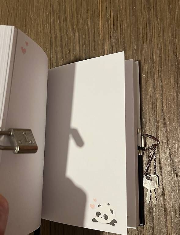 Bücher: 3 neue geheime tagebücher – Gebraucht aus Mörschwil von nvcmi 2