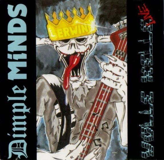 CD: Dimple minds - Volle – Usato da St-Cergue venduto da VeganWarrior