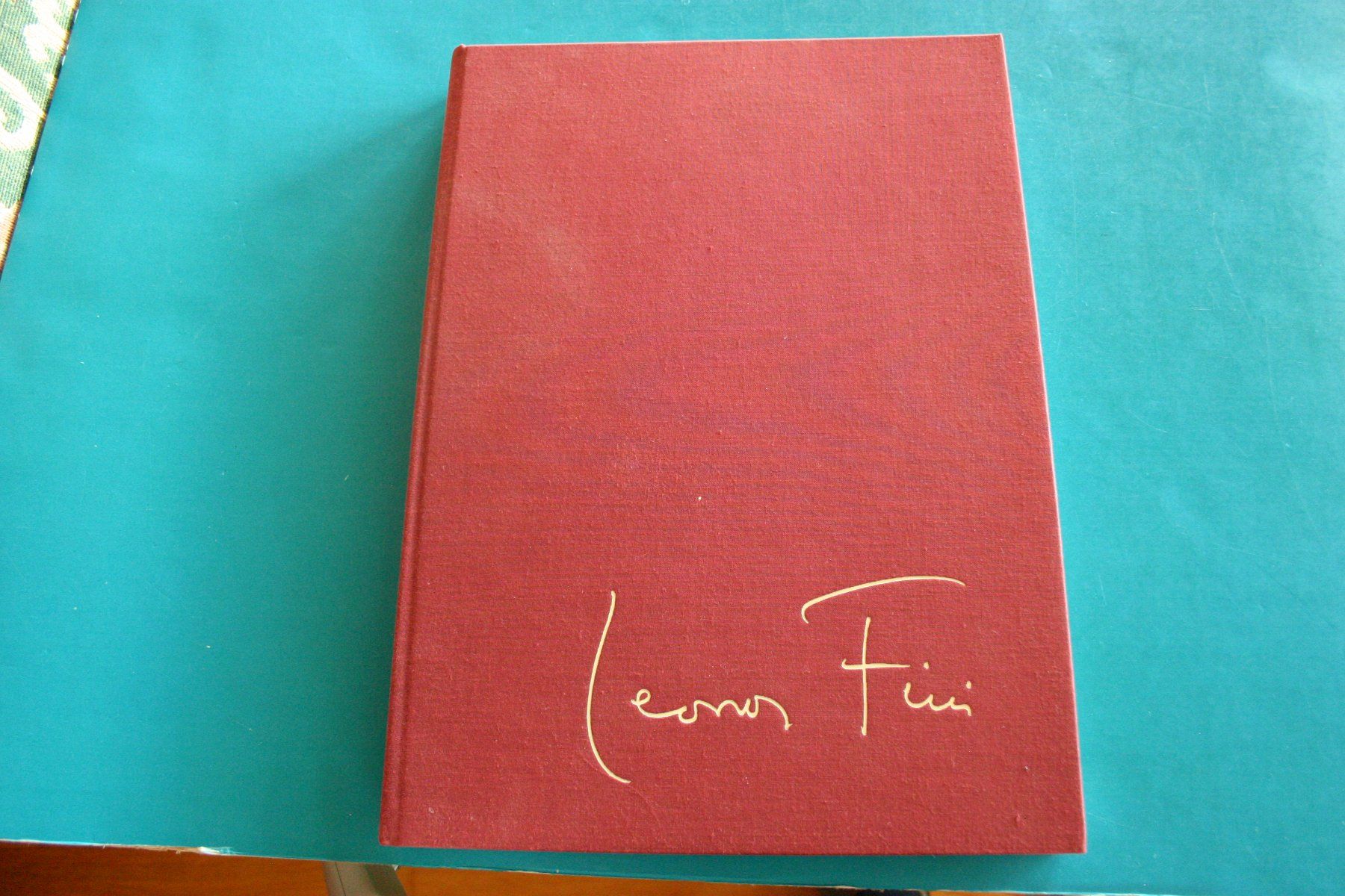 Libri: LEONOR FINI Das grosse Bilderbuch – Usato da Winkel venduto da franzxaver60 1