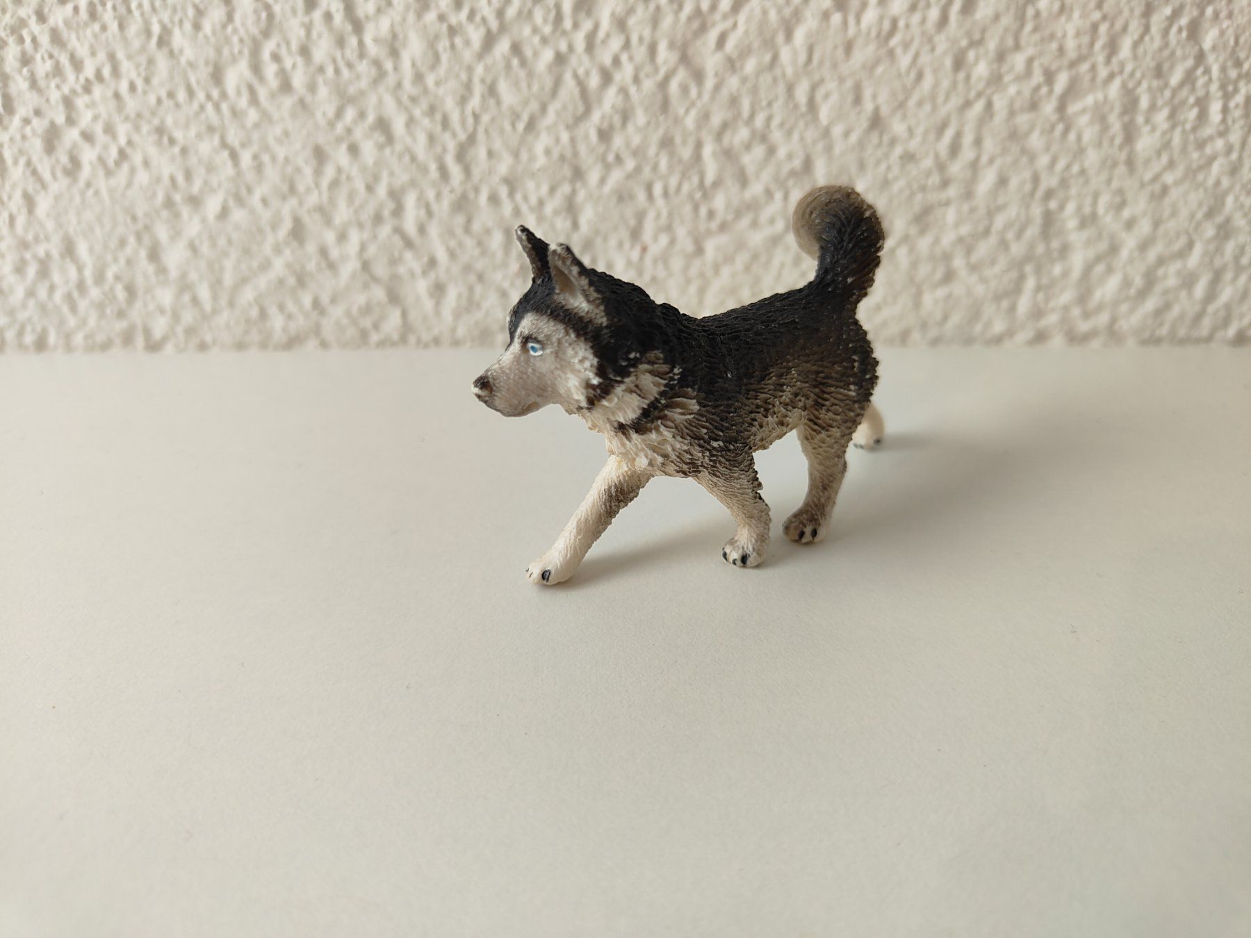 Schleich Statuette: Schleich Hunde Husky – Usato da Thalwil venduto da FigurenFreunde 1