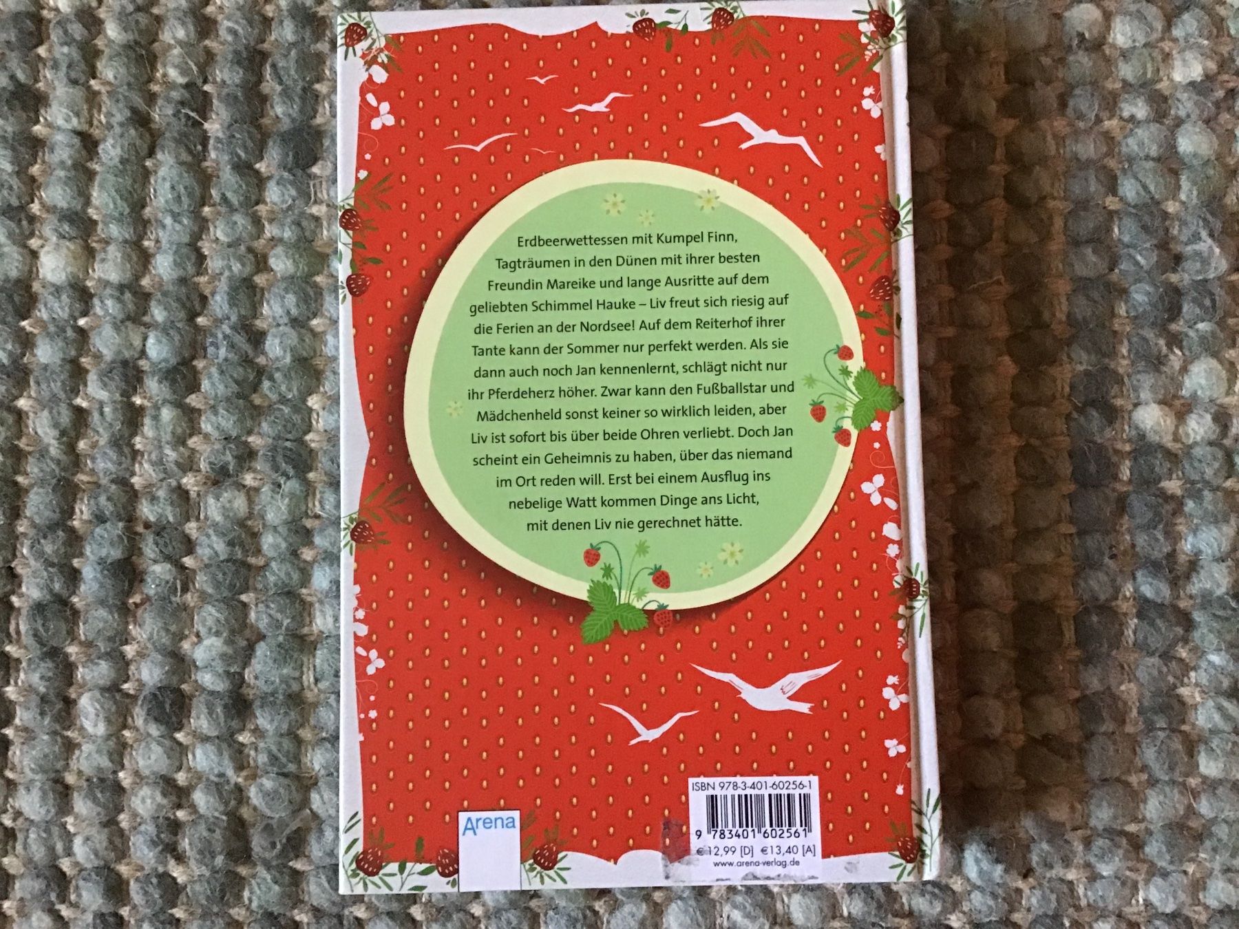 Libri: Erdbeersommer von Ilona Einwohlt – Usato da Langrickenbach venduto da orangecircledance 1