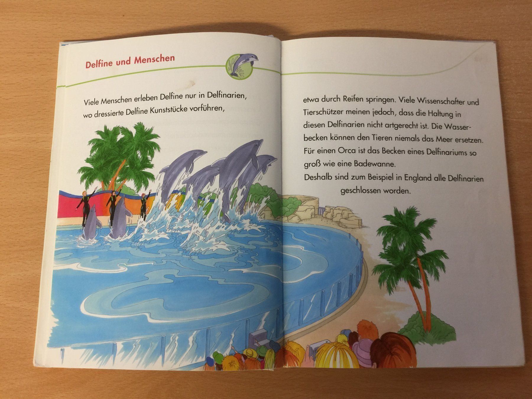 Livres: DELFINE – D'occasion à Glattfelden par cybermaxx 6