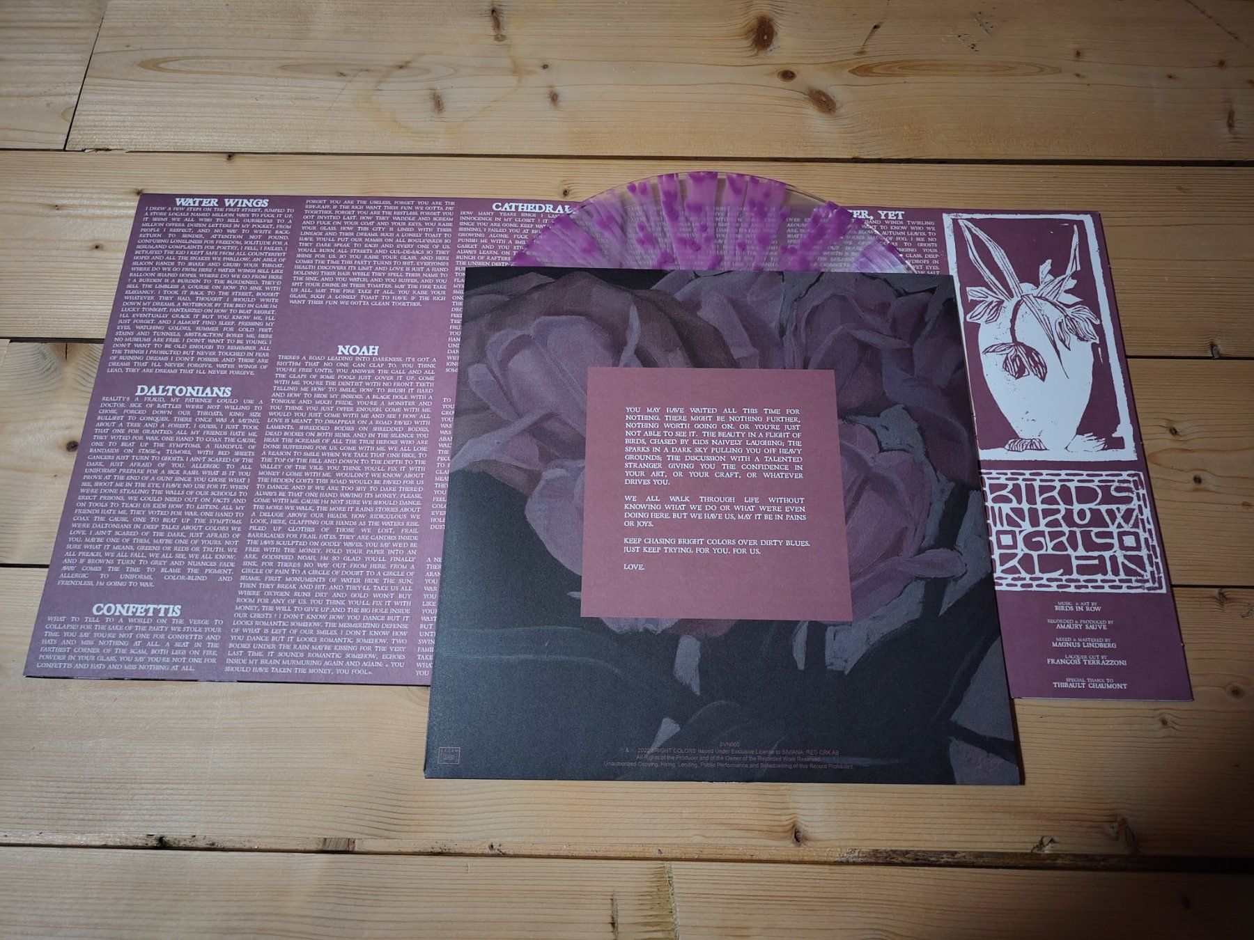Dischi in vinile: Birds In Row - Gris Klein – Usato da Wasterkingen venduto da Palu17 1